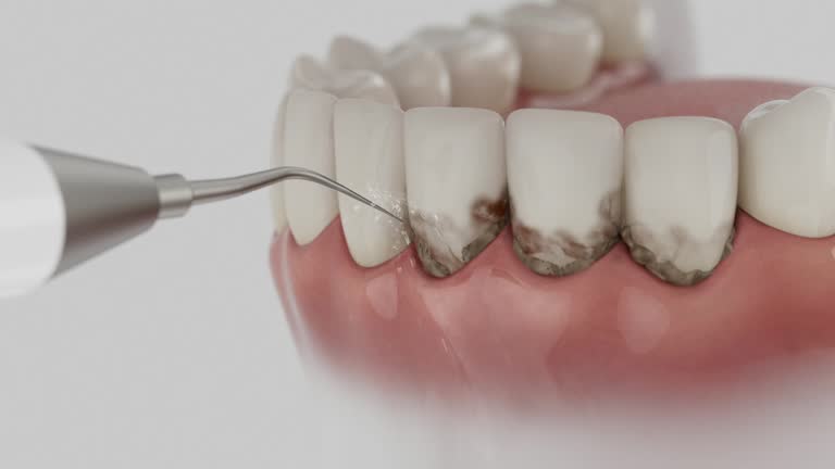 Reliable Dental contractor in Houston, TX by Dentist Open Now